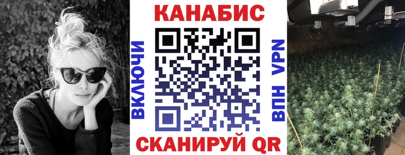 Купить наркоту Светлогорск ТГК  МЕТАДОН  Гашиш  Каннабис  МЕФ  kraken tor  A PVP 