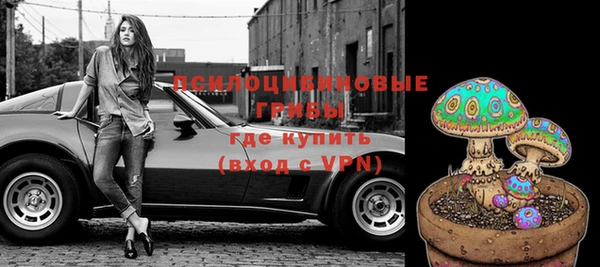 ПСИЛОЦИБИНОВЫЕ ГРИБЫ Белоозёрский