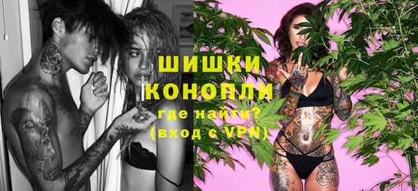 гашиш Богданович