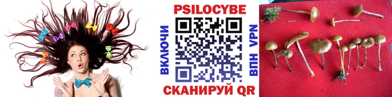 Галлюциногенные грибы Magic Shrooms блэк спрут Светлогорск купить закладку